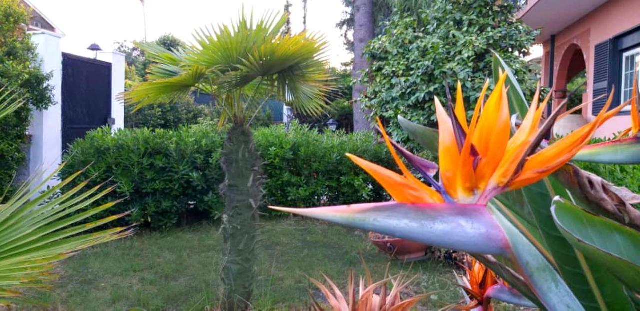Villa Etna Viagrande Luaran gambar
